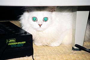 �U�f�����`�`�`�L���b