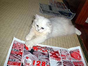 �����͓����i�́c