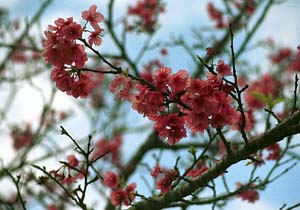 �q�J���U�N��