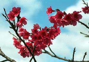 �q�J���U�N��